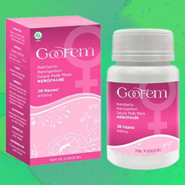 GOOFEM